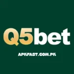 Q5Bet Game