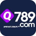 Q789 Game